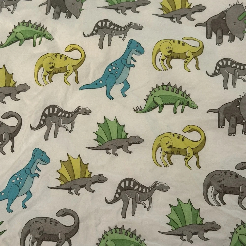 Pottery Barn Kids Dinosaur Twin Sheet Set 3 PCS Green Blue Gray 2015 Dinosaurs